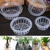 2Pcs Garden Supplies Flower Pot Tray Plastic Mesh Net Cloning Plants Growth Plant Culture Basket