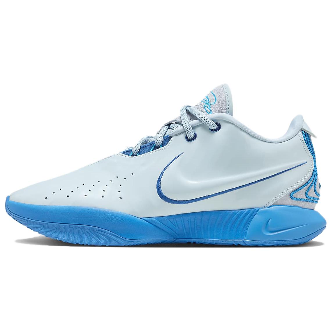 Nike LeBron 21 EP FQ4146-400 41