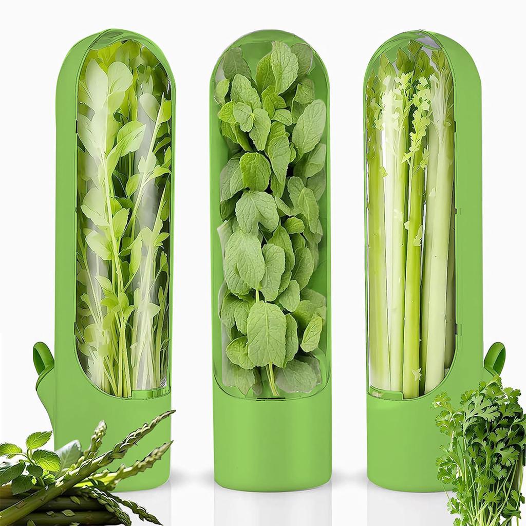 Round Plastic Herb Keeper Fresh-keeping Box for Vegetables and Kitchen Storage
