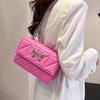 2024 Fashionable Stylish Shoulder Bag Chic Chain Small Square Handbag For Women