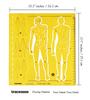 Traceease Male Human Figure Template Stencils Fashion Designer  s Drafting Tools, Male Human Figure
