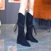 Fashion Autumn Winter Long Boots for Women Pointed Toe Middle Heel Knee High Shaft Shoes Woman Gyaru Demi-season Gothic New Rock Boot