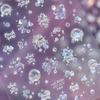 1pcs 5D Colorful Rhinestones Pumpkin Ghost Nail Art Halloween Stickers Adhesive Transfer Nail Decoration Decals Accessory