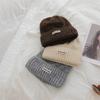 Korean Dopamine Simple Letter Knitted Hat Letter Label Men and Women's Same Wool Hat Women Thickened Warm