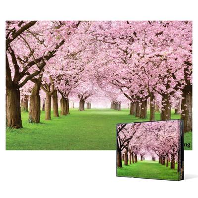 Cherry Blossom Road [Mini] - Rompecabezas de 2000 piezas, rompecabezas popular coreano