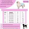 All-Season Leak-Proof Diaper for Female Dogs - Menstrual & Outdoor Protection