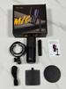 RGB USB Microphone with Desktop Boom Arm, One-Key Mute, Monitoring for Streaming, Gaming, Recording, KTV.