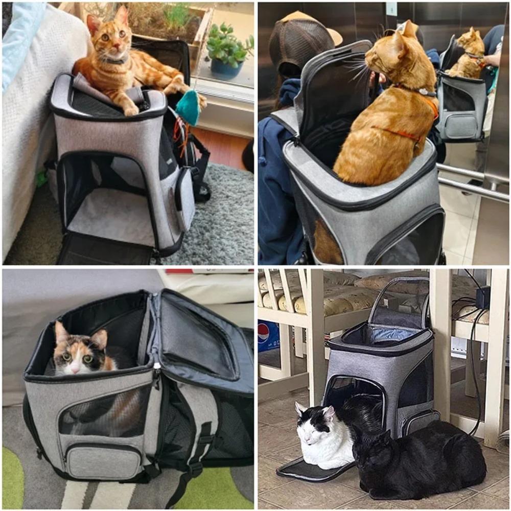 Atmungsaktiver Haustier-Katzen-Tragerucksack, faltbar, für den Transport von Haustieren, Reisetasche, erweiterbar, große Kapazität, kreativ für Katzen und Hunde