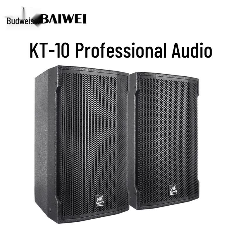 Baiwei KT-10 Professional Full-Range Stage Speaker (CN Version)