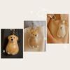 Dog Shape Dog Hair Storage Box  Transparent Pet Hair Keychain DIY Handmade Acrylic Puppy Pendants Pet Lovers