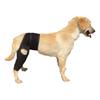 Dog Knee Brace for ACL Tear Adjustable Leg Support Bracket Dog Tendinitis Support Sleeve Easy Install Dog Leg Bracket