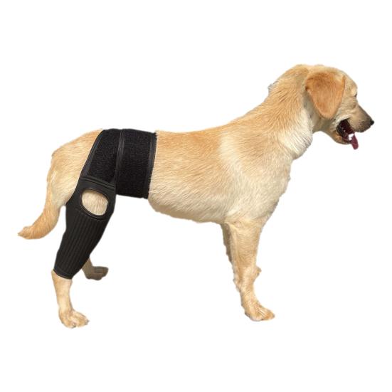 Dog Knee Brace for ACL Tear Adjustable Leg Support Bracket Dog Tendinitis Support Sleeve Easy Install Dog Leg Bracket
