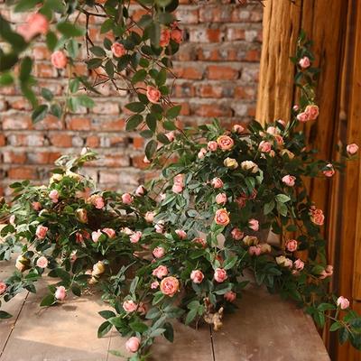 Vines 52cm Artificial Rose Flower Creative Hanging Wall Artificial Flowers Plants DIY Silk Flowers Rose Vine Wedding
