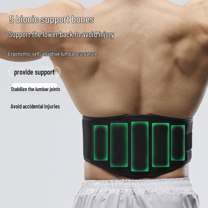 Adjustable Lumbar Support Belt for Squat, Weightlifting, Deadlift, and Training.