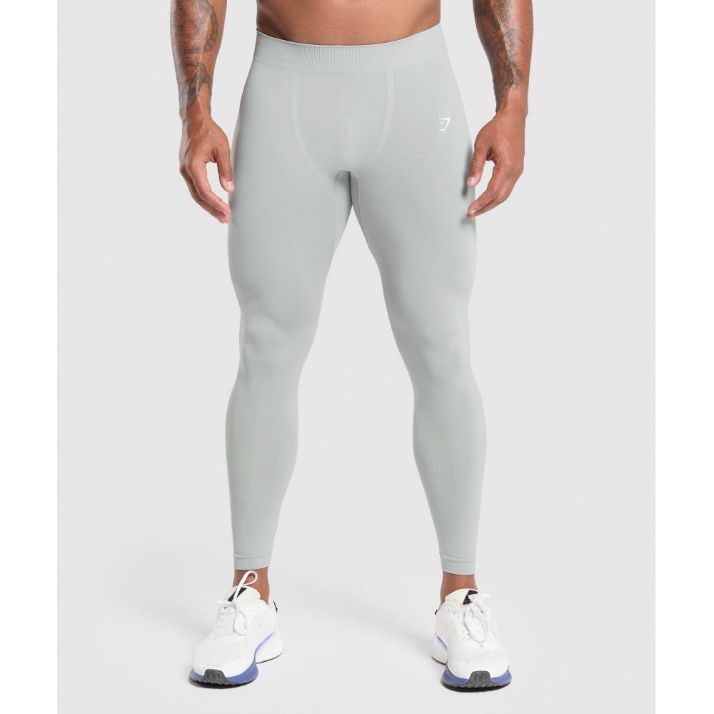 

Gymshark Everyday Seamless Baselayer Leggings Silver Grey A1b8z Gcb1 XS