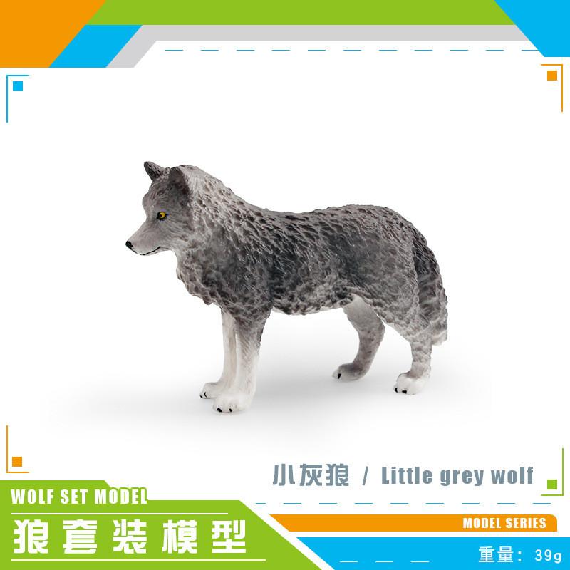 

Impressive Grey Wolf And Arctic Wolf Models For Interactive Learning Experience Little Gray Wolf
