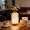 USB Wired Control Desk Lamp LED Night Light Art Decoration Reading Lamp  Dormitory