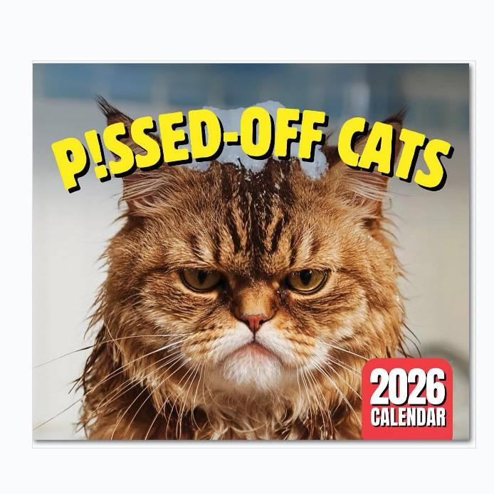 Funny 2026 Cats Buttholes Calendar - Unique Cat Calendar with Humorous Designs Ideal for Gifting and Home Decor