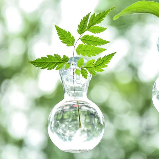 1/2/3/4/6/8Pcs Window Propagation Station Plant Propagation Glass Bulb with Suction Cup Transparent Planter Propagation Planter Terrarium Vase