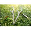 Dww - A pack of 100 dental floss sticks, zip-lock bag of dental floss sticks