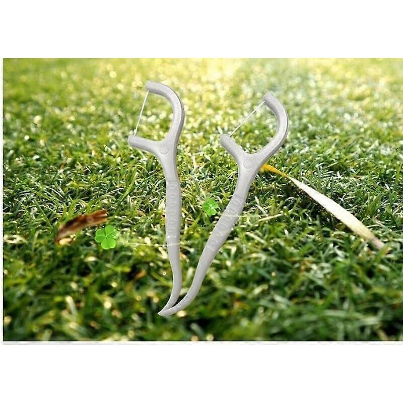 Dww - A pack of 100 dental floss sticks, zip-lock bag of dental floss sticks