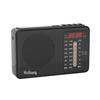 Huibang L35 Multi-Band Portable FM Radio with USB and Card Functionality