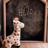New Cute Giraffe Deer Plush Toy - Baby Comfort Doll for Children's Room Decoration