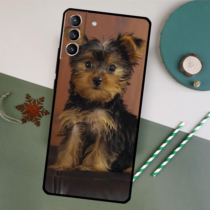Yorkie Yorkshire Terrier Phone Case For Samsung Galaxy S25 S26 Ultra S20 S21 S22 S23 S24 Plus S10 S25 FE Back Cover