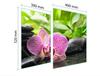 GLAS-KOCHFELD-SCHUTZPLATTE 70x52 ORCHIDEE
