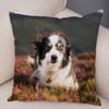 Cute Scottish Border Collie Pillowcase Dog Print  Decor Pet Animal Cushion Cover Sofa