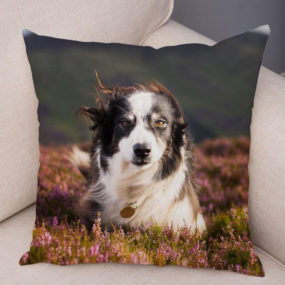 Cute Scottish Border Collie Pillowcase Dog Print  Decor Pet Animal Cushion Cover Sofa