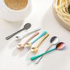6Pcs Tiny Spoon Set Mini Stainless Steel Spoons for Salt Spice Jars Portable Seasoning Spoon for Powder Spices Sugar Coffee