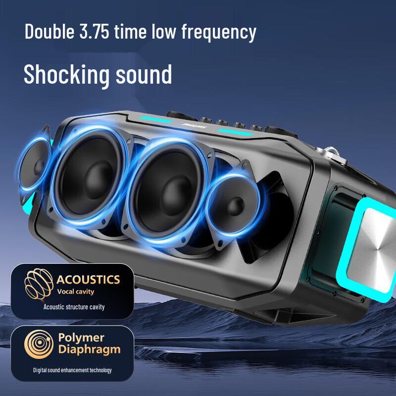 Philips TAX5409 Portable Outdoor Bluetooth Karaoke Speaker