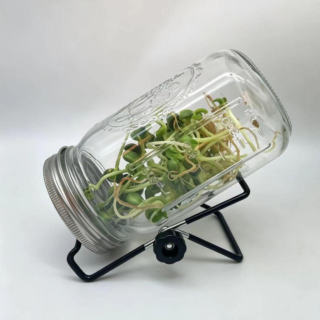 Vaso in Acciaio Inossidabile da 32 oz a Bocca Larga per Germinazione con Supporto per Filtro a Rete
