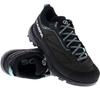 Треккинговые ботинки Scarpa Rapid XT GTX