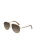 Sunglasses Aviator Legacy [Dee Franklin] Gold/Brown DFSU902002-BROW