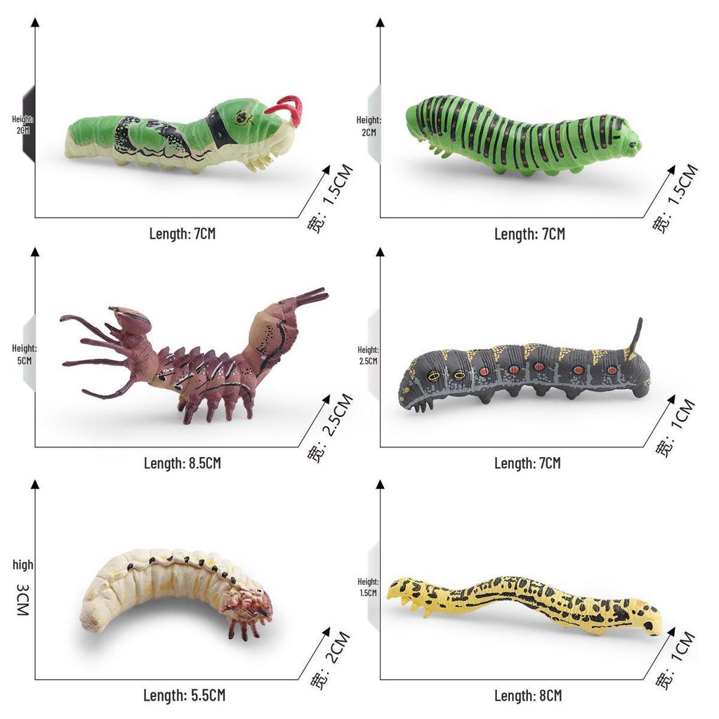 Insect Simulation Larva Model: Children's Cognitive Moth, Jade Belt Swallowtail, Beetle Larva Ornament