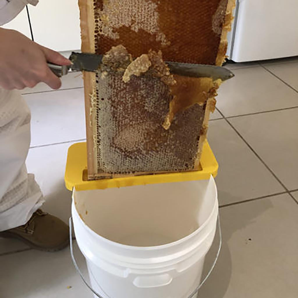 Estante de Marco de Colmena de Plástico Para Extracción de Miel Raspador de Panal Soporte Herramienta de Cosecha Apicultor Suministros de Apicultura