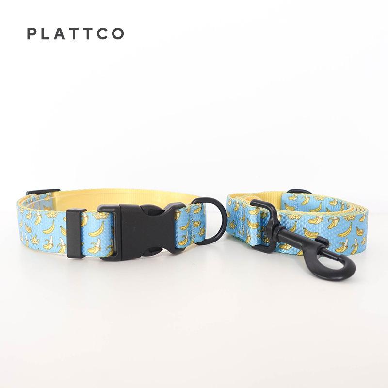 PLATTCO Stylish Printed Dog Leash and Collar - PDC327 Extra Large