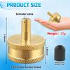 Boltigen 2Pcs RV Blow Out Winterizing Adapter, Brass Sprinkler Blowout Plug, Schrader Valve To 3/4 Garden Hose, Water Line Blow Out Adapter Fitting