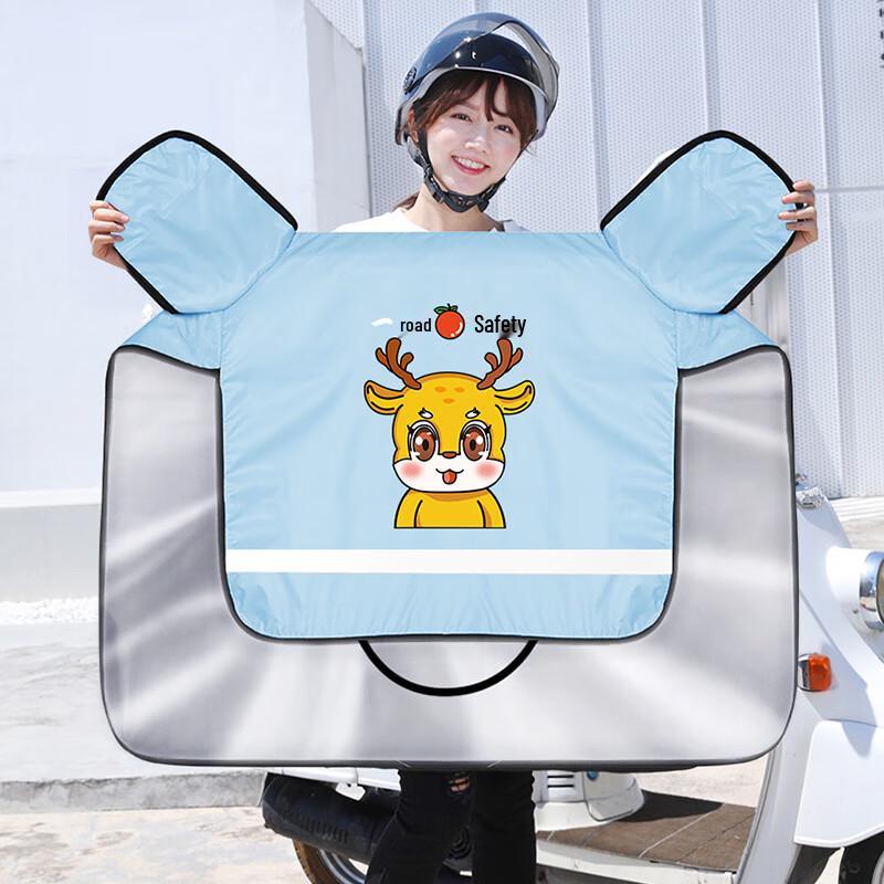 DUTRIEUX Electric Vehicle Windproof Cover