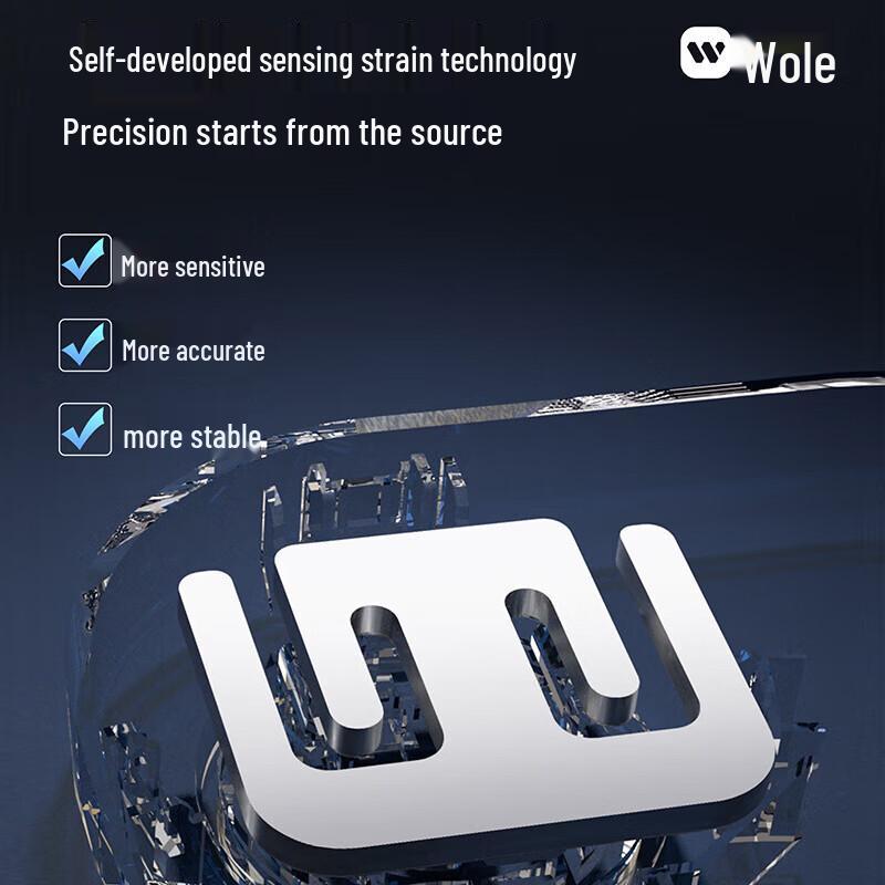ICOMON Professional Smart Body Fat Scale (CN Version)