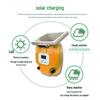 Solar Livestock Electric Fence System: Complete Pulsed Solution for Cattle, Sheep, and Horse Pasture Management