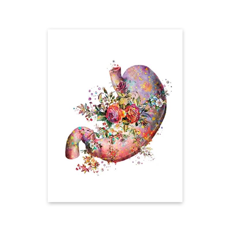 Bunte Anatomie Kunst Blume Organe Herz Lunge Poster und Drucke Medizinische Bildung Wand Kunst Leinwand Malerei Home Dekoration Geschenk