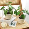Realistic Simulation Green Plant Bonsai Elegant False Tropical Plants  Home Garden