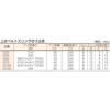 TRUSCO Belt Sling JIS3 Grade Eye Shape at Both Ends 35mmX1.0m G35-10