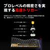 DIERYA DK68C Rapid Trigger Mechanical Gaming Magnetic Switch RGB Wired 68 Fully English Layout Keyboard, Keyboard, Backlight, Type-C, Compact, Keys,