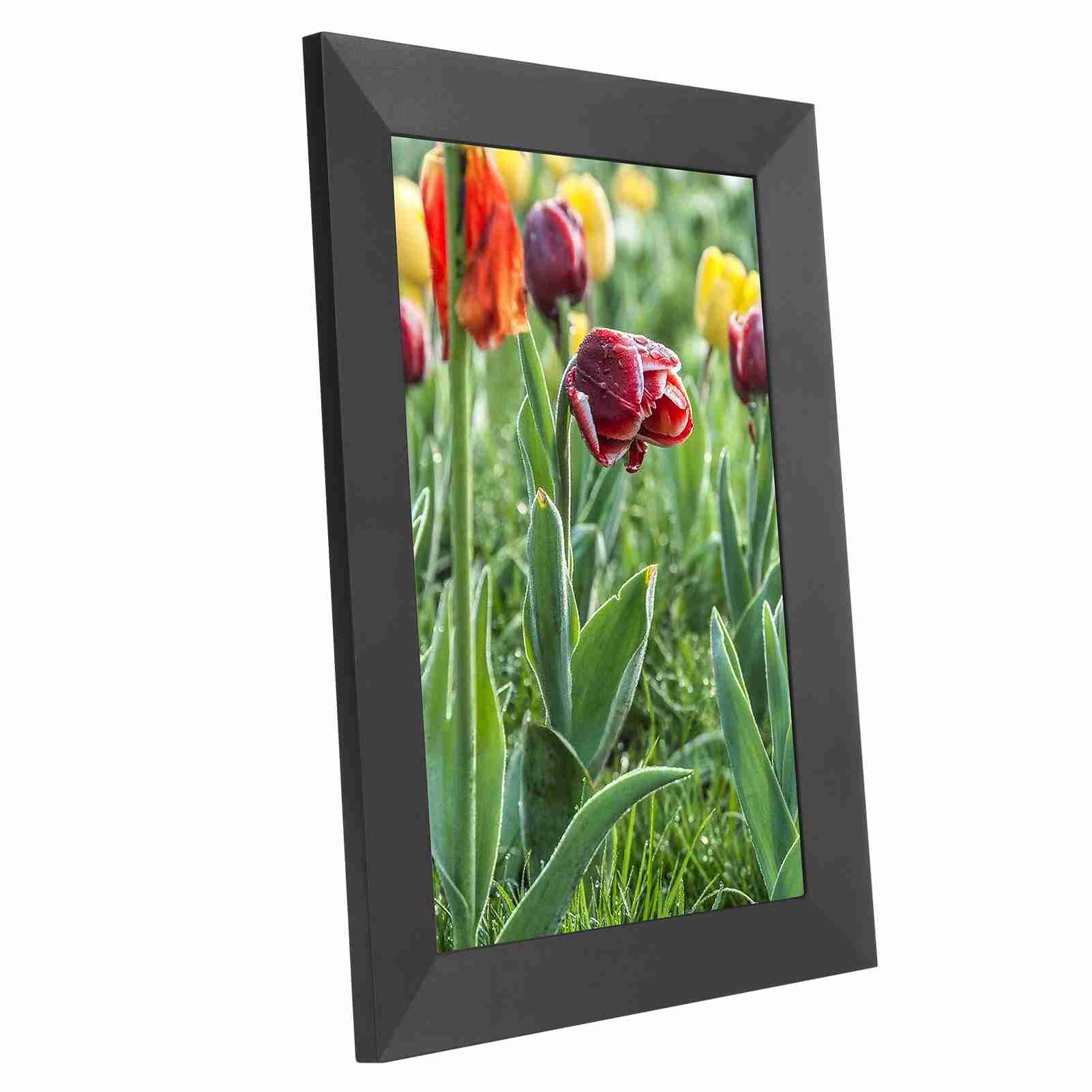 

10.1in Digital Photo Album 16:9 1280x800 IPS Touch Screen WIFI HD Display Picture Frame 100‑240VAU EU Plug
