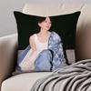 Popular fashionable Chinese singer DDanyLee Cushion Cover Pillowcase Antidustmite Invisible Zipper Short Plush Sofa Cushion