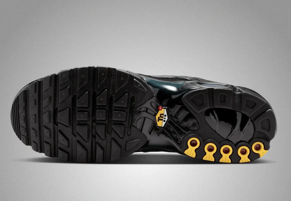 IQ0301-070 Nike Air Max Plus Black (Men's)